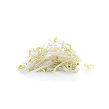 Bean sprout (Mung bean)