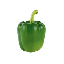 Capsicum