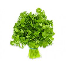 Coriander leaf