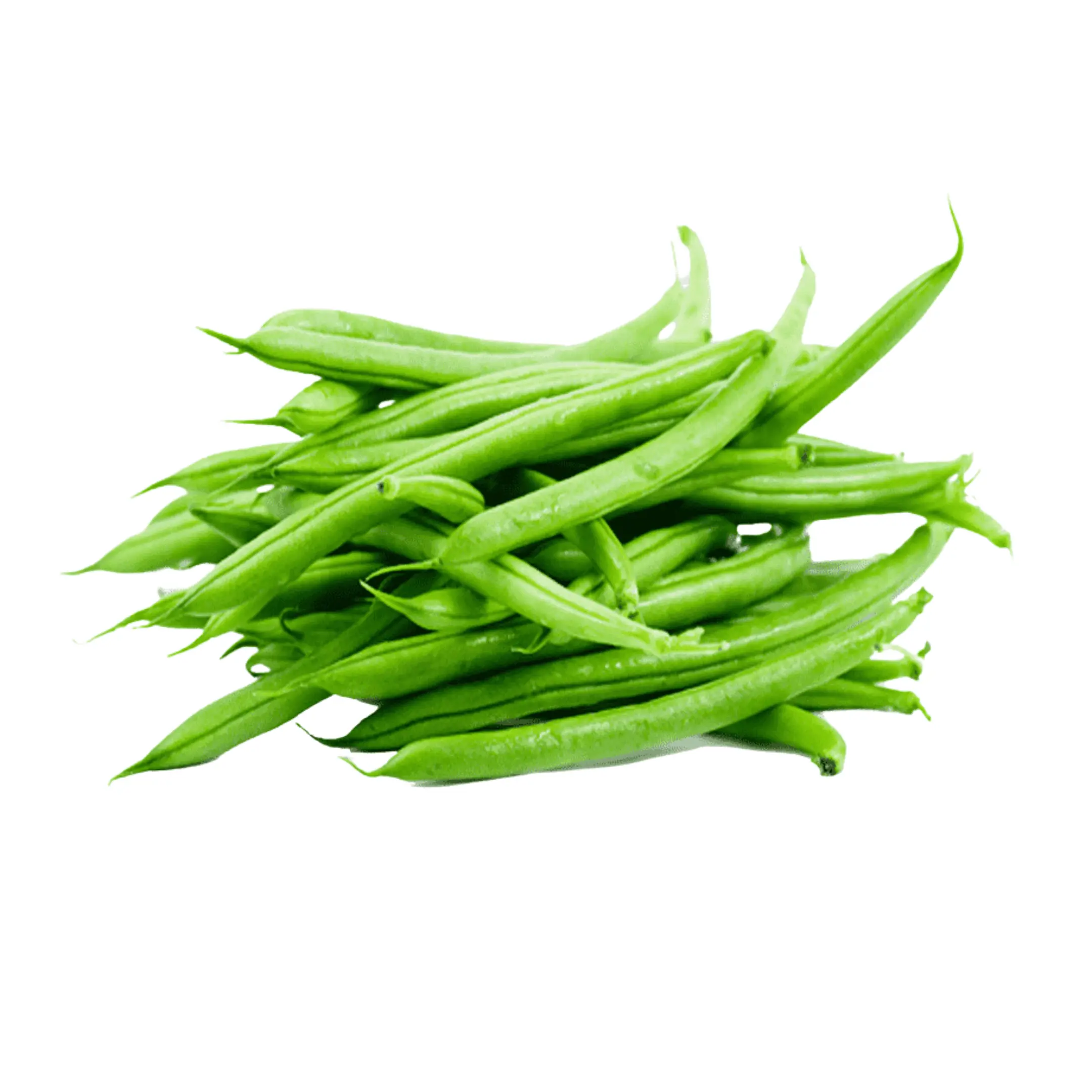 French bean